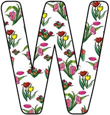 Tulpen-Buchstabe-W.jpg